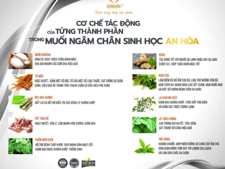 Thành phần của Muối Ngâm Chân Sinh Học An Hoà